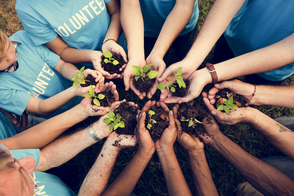 Outreach Support: Respite support – Triangle Support Services